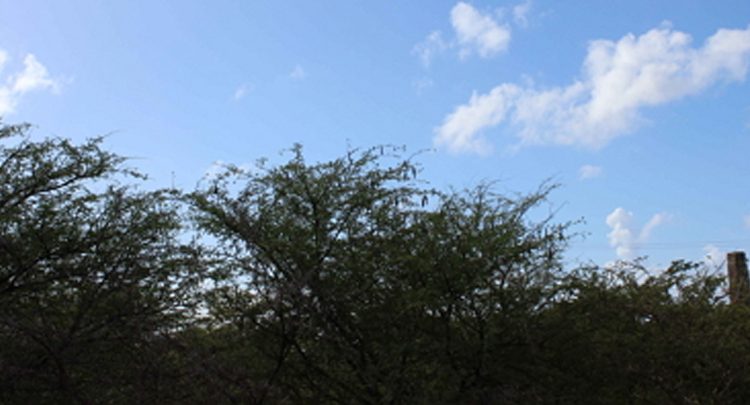 Lot_B55_2 Lot_B55_2